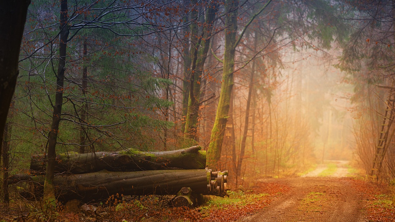 The Influence of Mood on Consciousness
